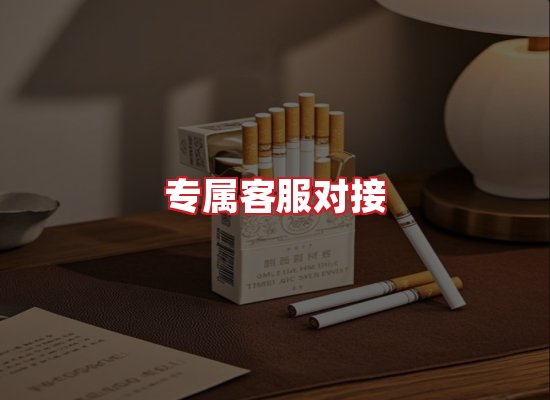 专业团队